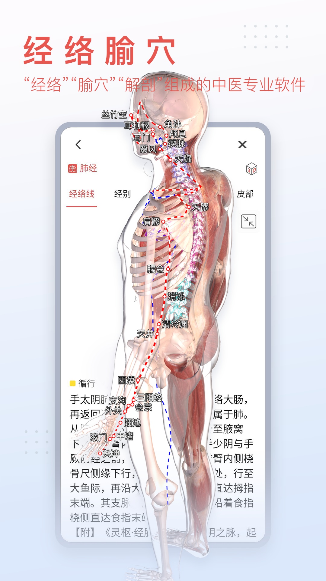 3Dbody解剖