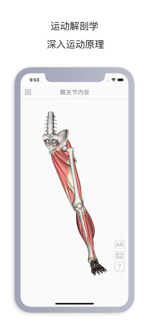 运动解剖苹果版